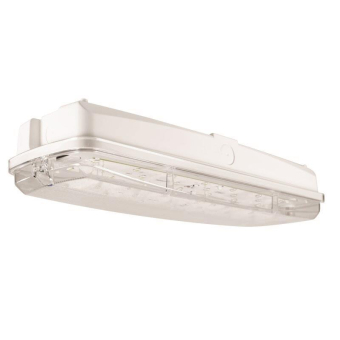DOTLUX LED-Rettungsleuchte EXIT   5389-1 