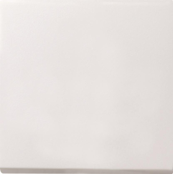 GIRA 0126112 Tastschalter Aus-Wechsel 