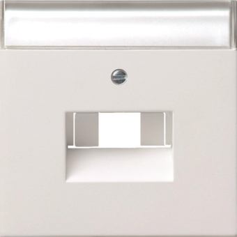 GIRA 0284112 Abdeckung+ BSF UAE/IAE+ 