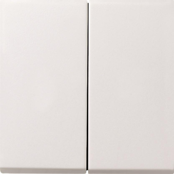 GIRA 0295112 Wippe 2fach Flächenschalter 