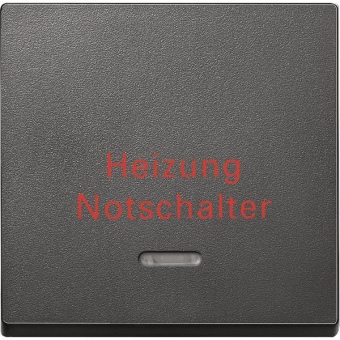 Merten Wippe m.Kontrollfenster+   431814 