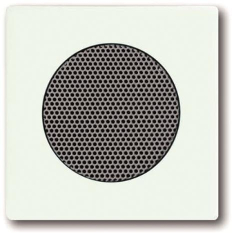 BJ Zentralscheibe f.            8253-884 