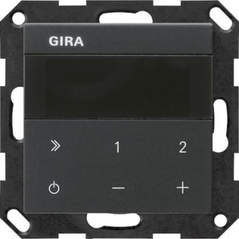 GIRA 2320005 UP-Radio IP System 55 