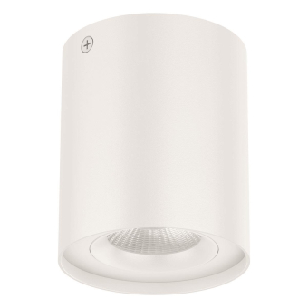 EVN Anbaudownlight schwenkb. ALS20100102 