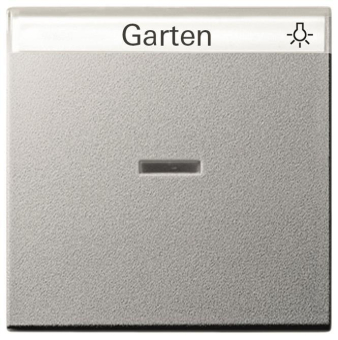 GIRA 067026 Wippe Kontrollfenster+BSF 