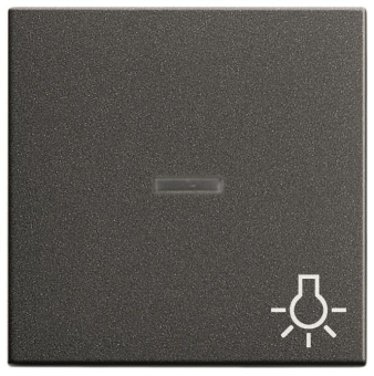 GIRA 067428 Wippe Kontrollfenster+Symbol 