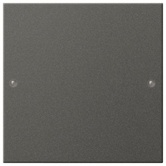 GIRA 218128 Wippenset 1fach System 55 