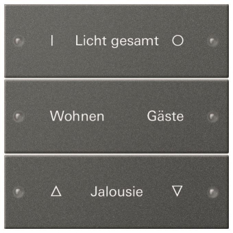 GIRA 220328 Wippenset 3fach beschreibbar 