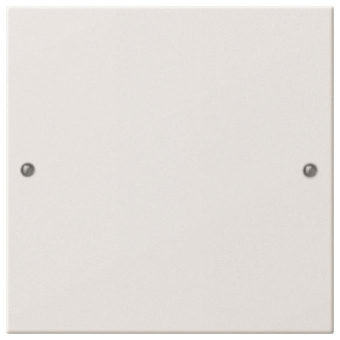 GIRA 218127 Wippenset 1fach System 55 