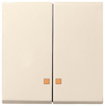 GIRA 063101 Wippe 2fach Kontrollfenster 