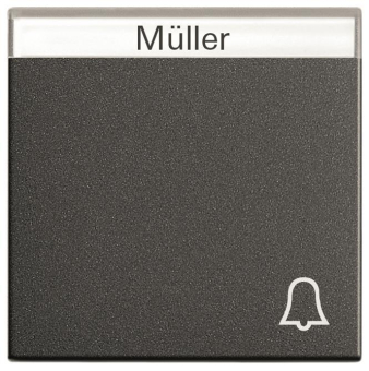 GIRA 067328 Wippe Symbol Klingel+BSF 