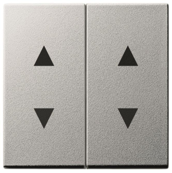 GIRA 115026 Wippe 2fach Pfeile System 55 