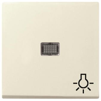 GIRA 063001 Wippe Kontrollfenster groß+ 