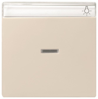 GIRA 067001 Wippe Kontrollfenster+BSF 