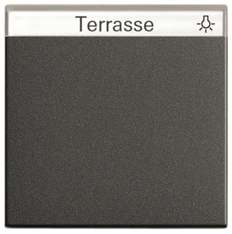 GIRA 029928 Wippe Beschriftungsfeld 