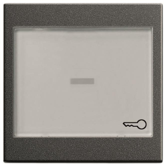 GIRA 067628 Wippe BSF groß System 55 