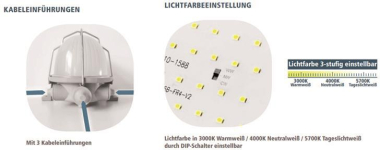 LTEK LED Ovalleuchte Glas IP44  OBH-XW 