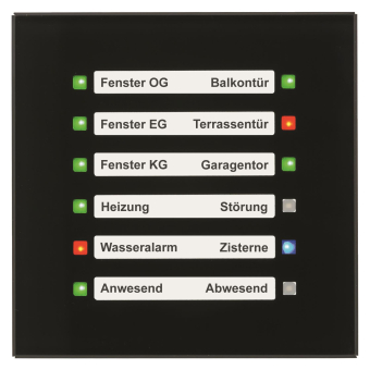 MDT SCN-GLED1S.01S Glas LED Anzeige 