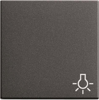 GIRA 028528 Wippe Symbol Licht System 55 