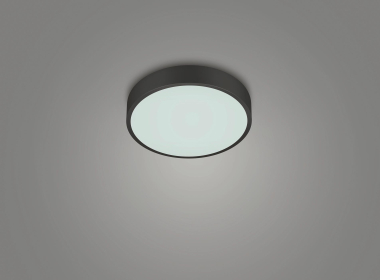 TRIO Deckenleuchte WACO 310mm  627413032 