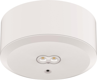DOTLUX LED-Sicherheitsleuchte     3679-1 