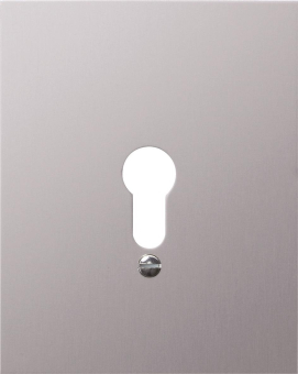 GIRA 009830 Metallabdeckung o.Symbole 