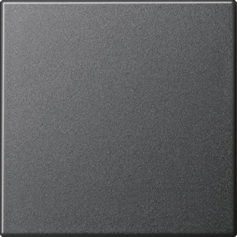 GIRA 029628 Wippe System 55 Anthrazit 