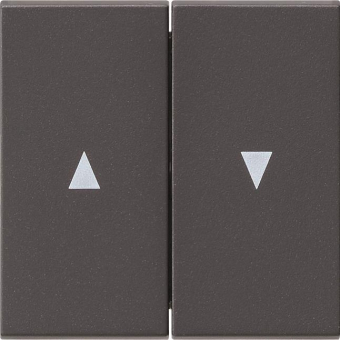 GIRA 029428 Wippe 2fach Pfeil System 55 