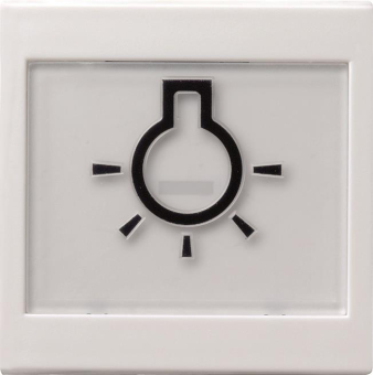 GIRA 021603 Wippe+BSF+Symbol Licht groß 