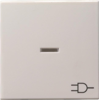 GIRA 020903 Wippe Kontrollfenster+Symbol 