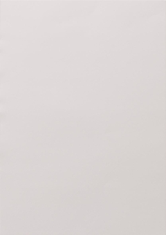 GIRA 108500 Beschriftungsbögen 