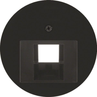 Berker Zentralstück             14072045 