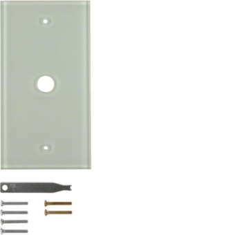 BER TS Glasabdeckplatte             1391 