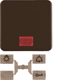 Berker Wippe m.5 beiliegenden     155311 