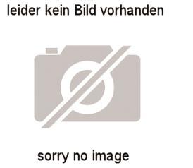 FLUOLITE Ersatzakku für FL 2-4  30019000 