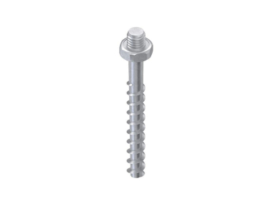 Niedax Schraubanker   NSA 6X55/SW10-M6 V 