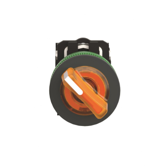 Schneider Leuchtwahlschalter  XB5FK125B5 