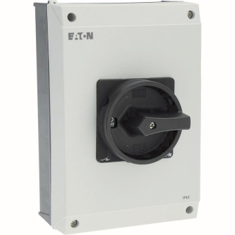 EATON P3-100/I5/SVB-SW            207374 