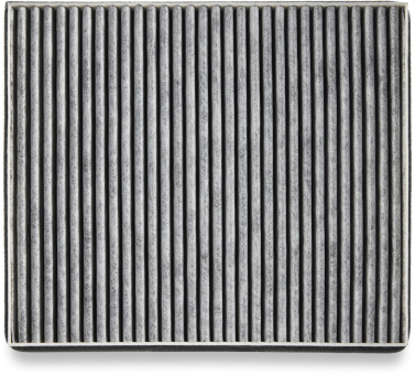 Miele DKF12-P Aktivkohlefilter 