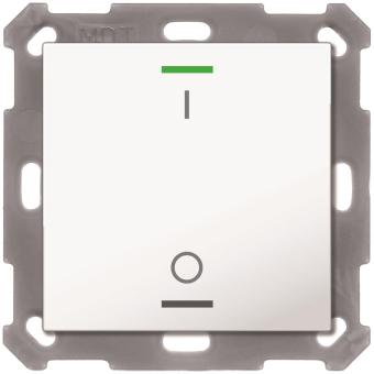 MDT BE-TAL5501.B1 Taster Light 55 1fach 
