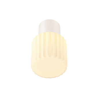 SLV VARYT Deckenaufbauleuchte    1008100 