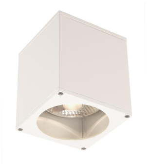 SLV BIG THEO CEILING OUT          229551 