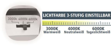 LTEK Deckenleuchte IP44           124204 