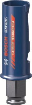 Bosch EXPERT                  2608900454 