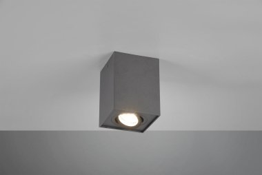 Trio Deckenleuchte BISCUIT,    613000132 