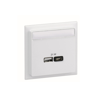 Schneider USB Ladestation A+C 2 INS60522 