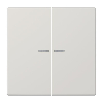 Jung Wippe f.Serientaster KO  LS102KO5LG 