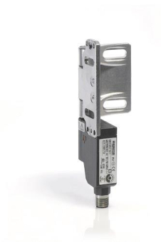 BERN                          6019390035 