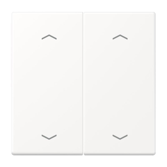 Jung Wippe m.Pfeilsymbolen  LS 102 P WWM 