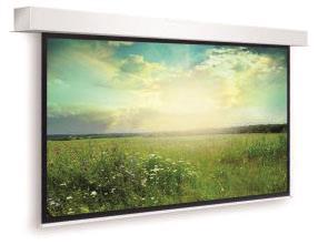 KIND Descender Large Electrol 7404000105 